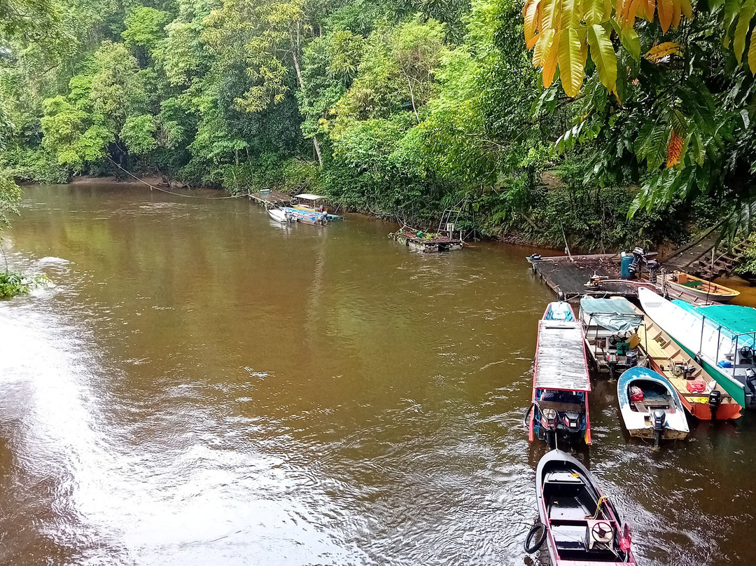 Mulu National Park主图