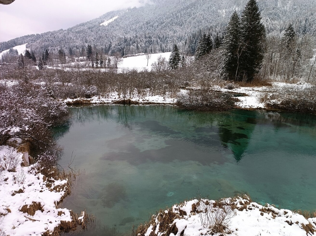 Zelenci Nature Reserve景点图片
