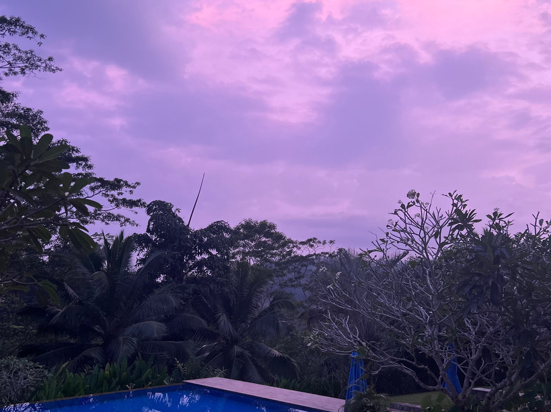 Yoga in Niyagama House-加勒必去景点