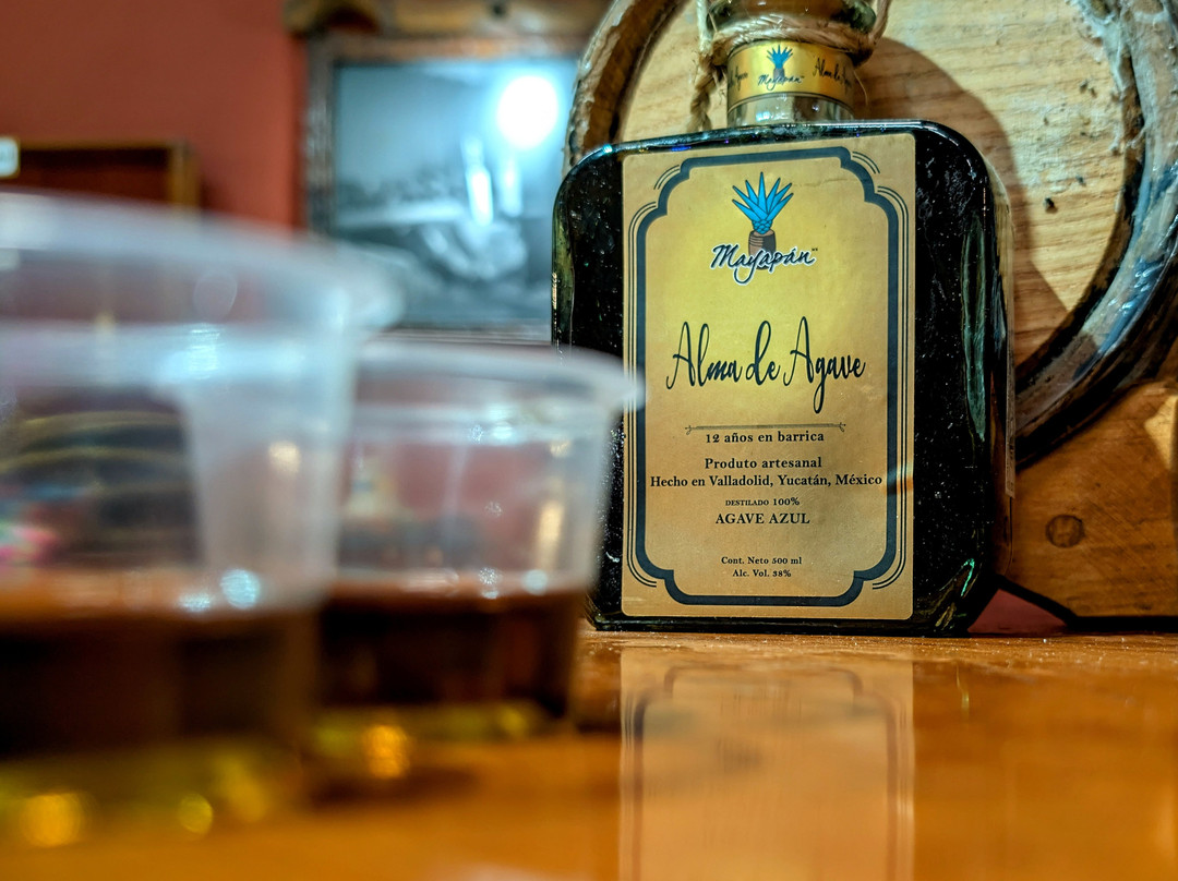 Mayapan Traditional Agave Distillery景点图片