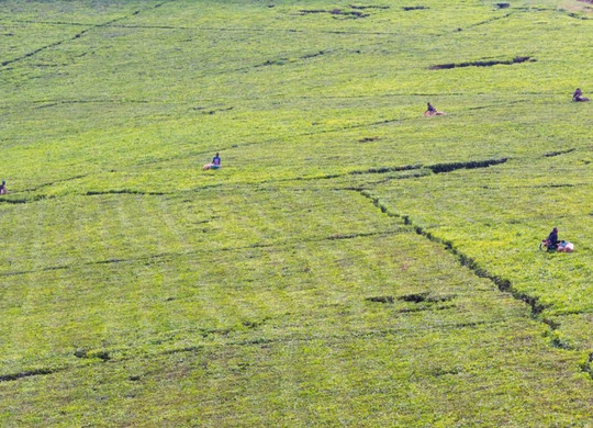 Günsting Gorilla Reisen-Ruhengeri必去景点