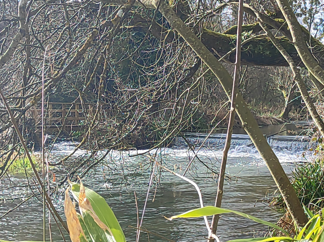 Welford Park-Wickham必去景点