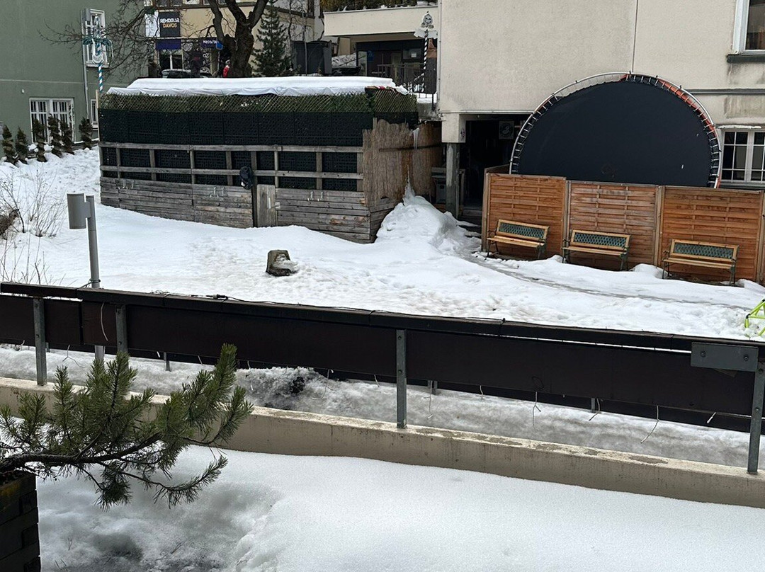 Central Sporthotel Davos主图