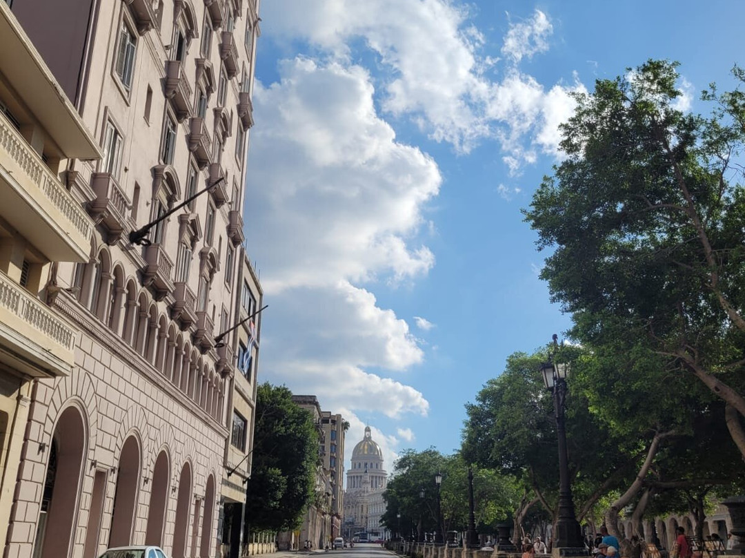 Paseo del Prado景点图片