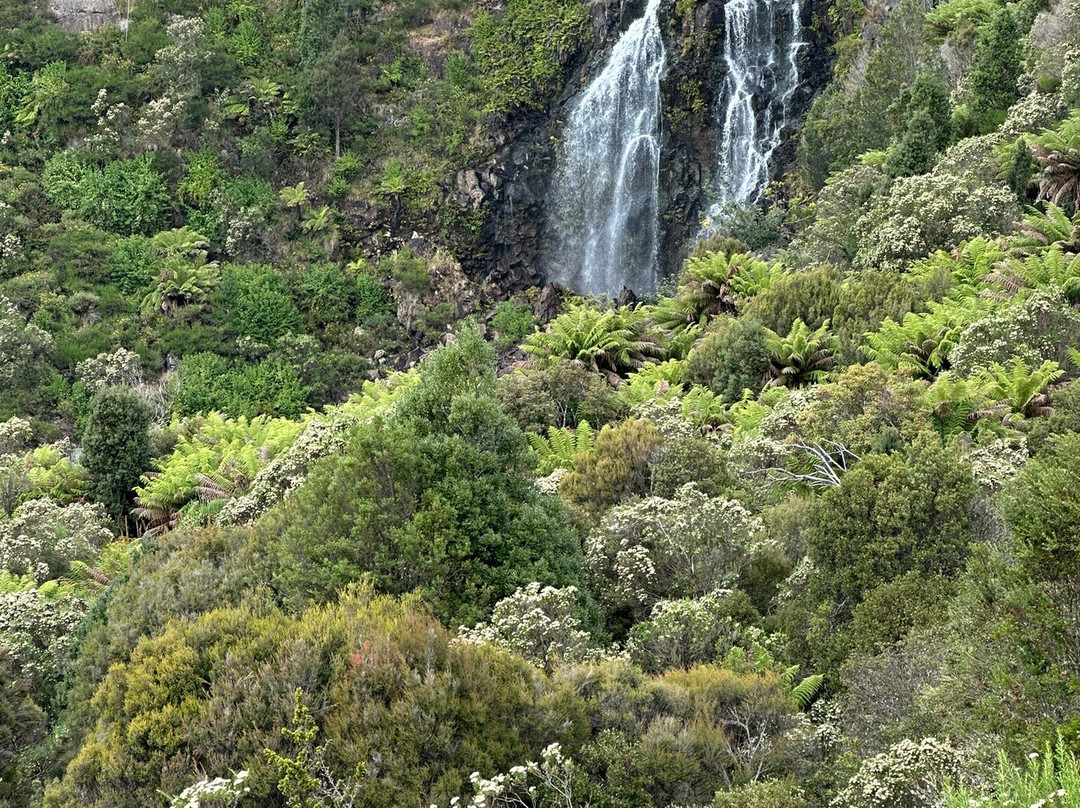 Waratah Falls-Waratah必去景点