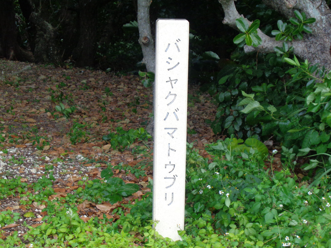 Bashakubamatuburi-多良间村必去景点