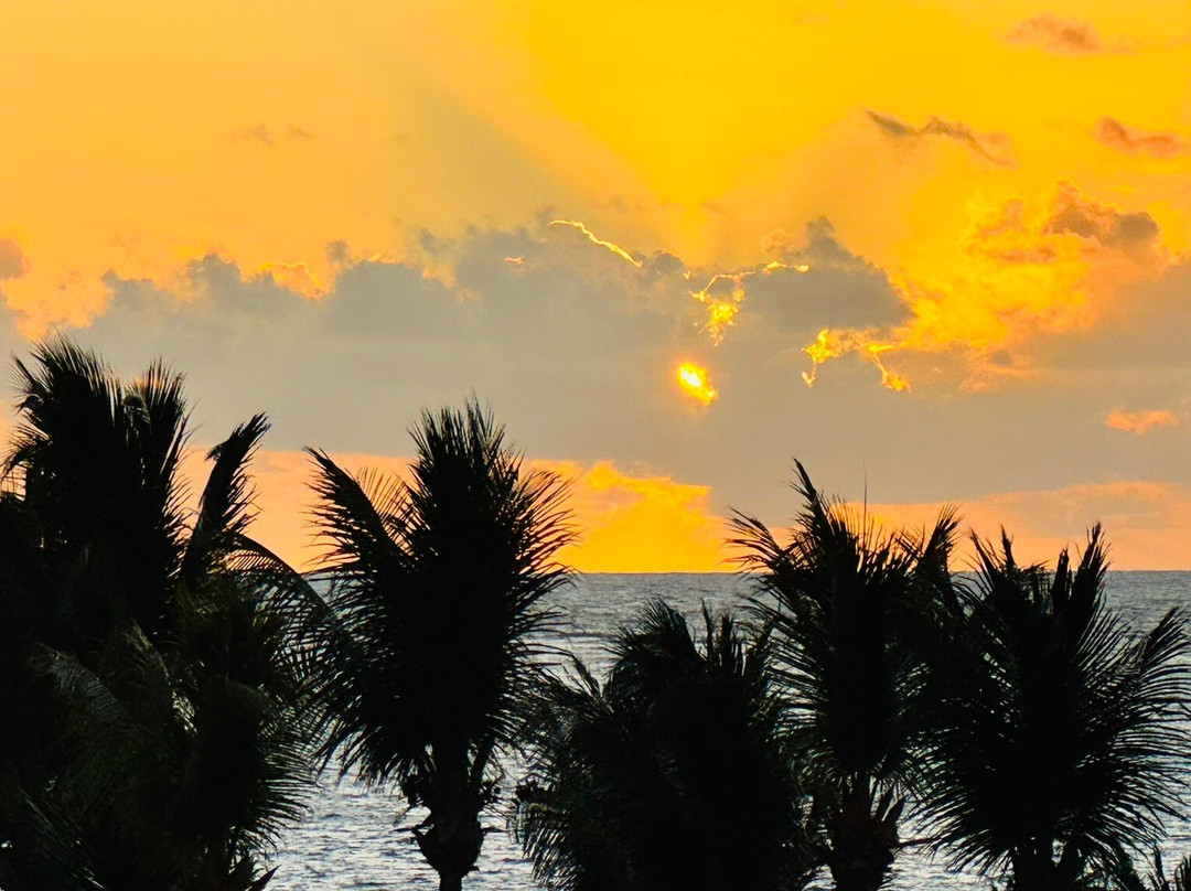 Camboinha Beach景点图片