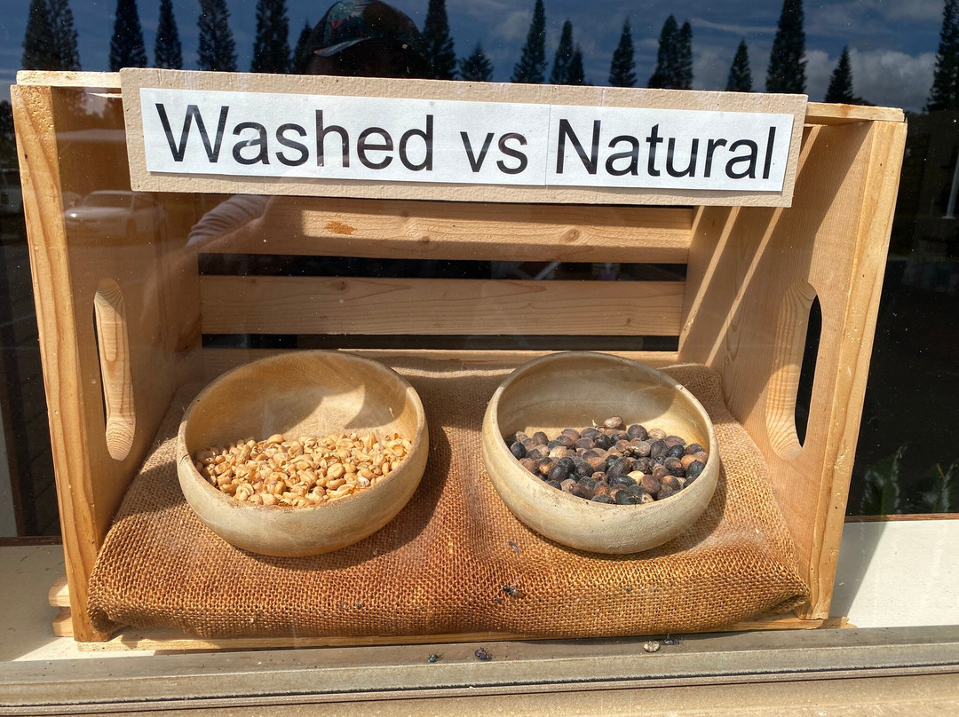 Ka'u Coffee Mill-帕哈拉必去景点