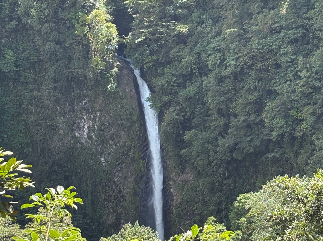 Explornatura景点图片