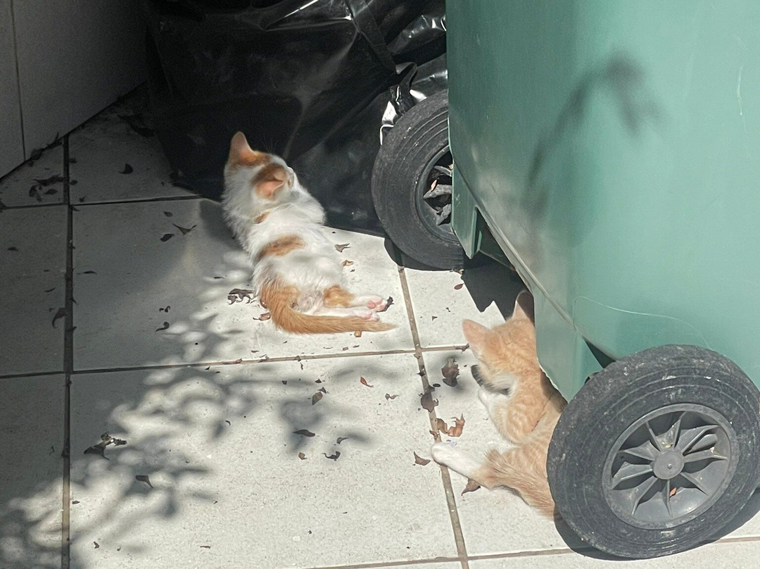 BÔ Massage-阿加迪尔必去景点