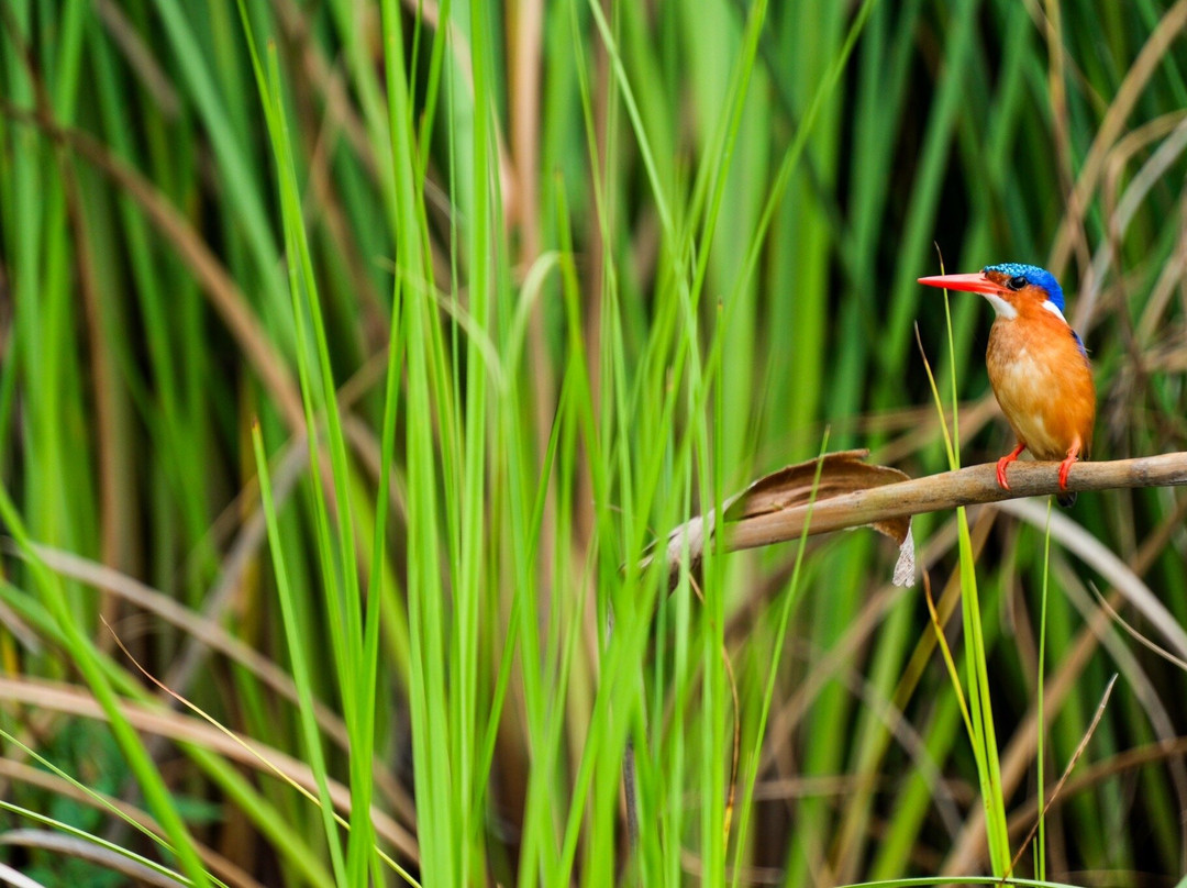 Lake Duluti-阿鲁沙必去景点