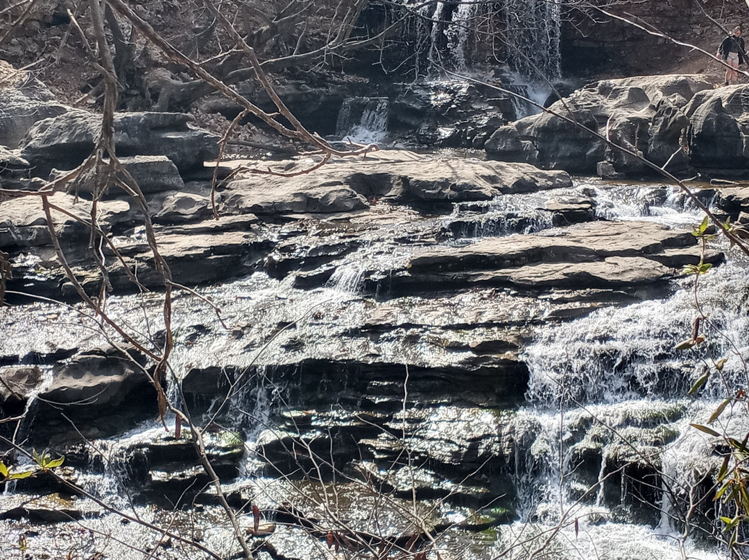 Tanyard Creek Nature Trail景点图片