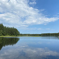 Fvbokhhorst