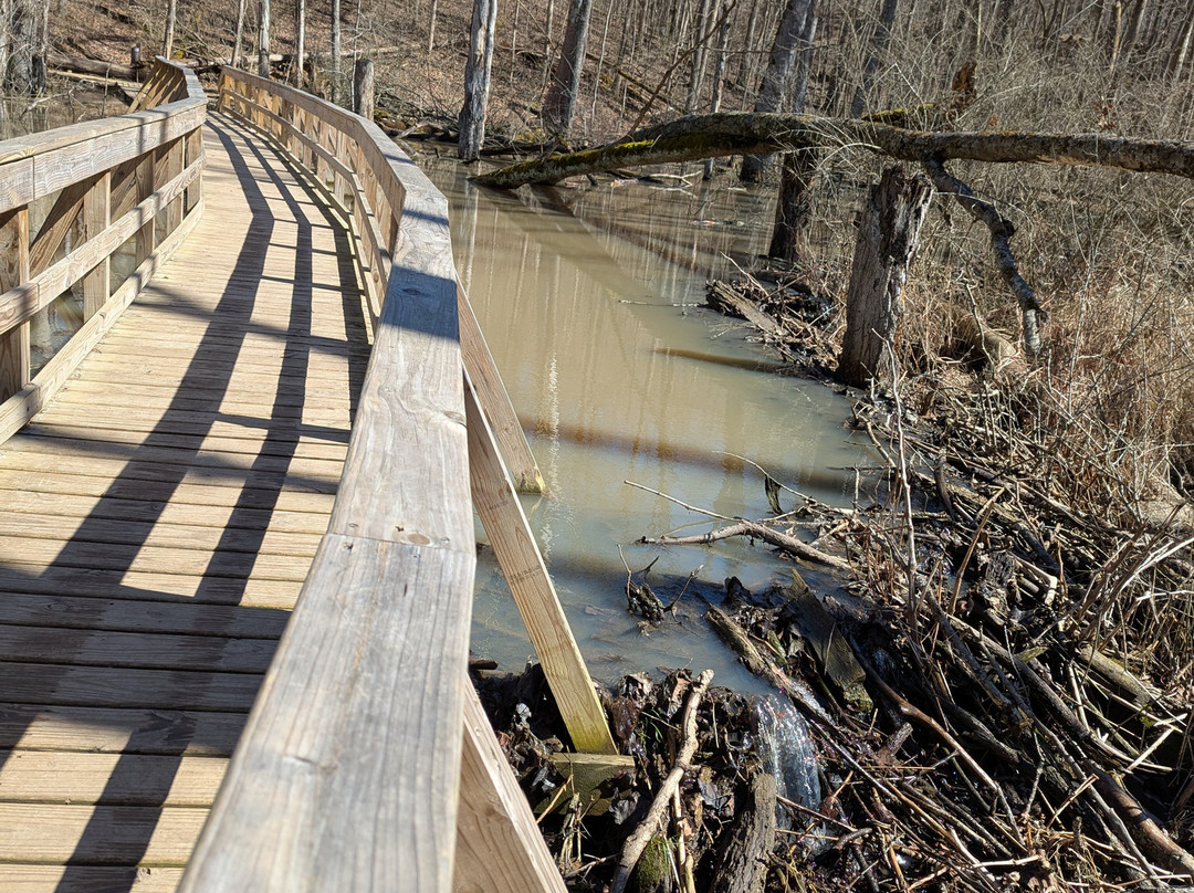 Glen Helen Nature Preserve-Yellow Springs必去景点