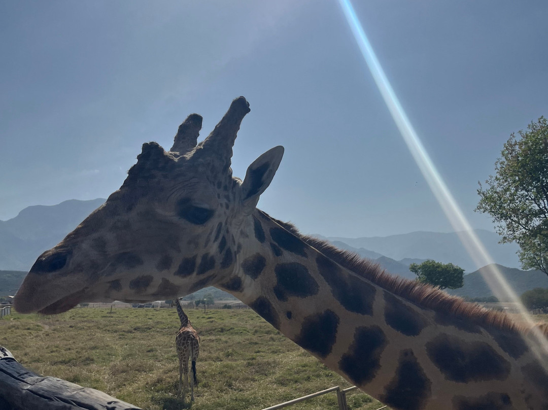 Bioparque Estrella景点图片