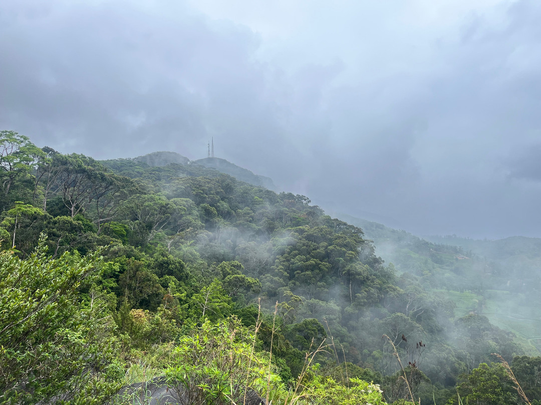 Sinharaja Rainforest Kurulugala Entrance-Viharahena必去景点