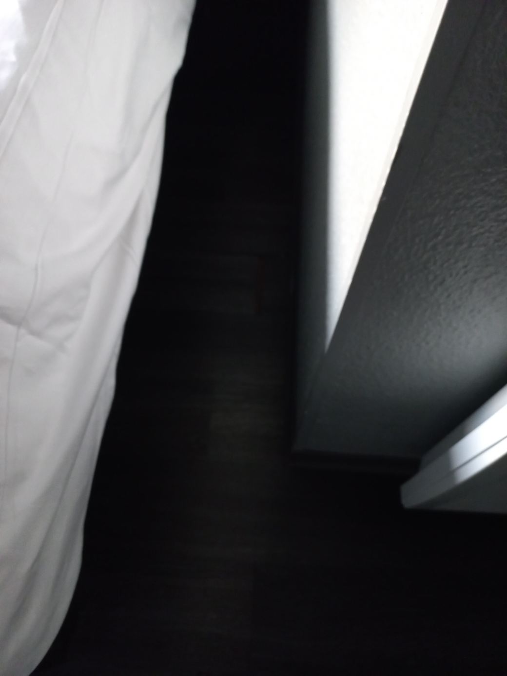 宜必思普瓦捷博利厄酒店-客卧