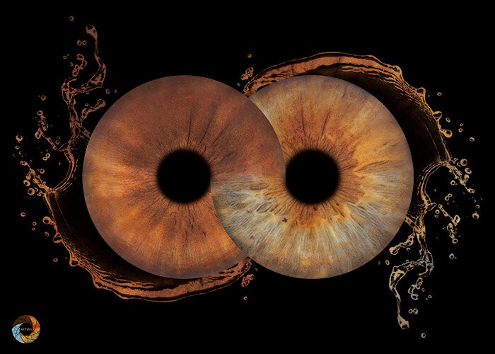 Artiris | Photographie D'iris À Montréal-蒙特利尔必去景点