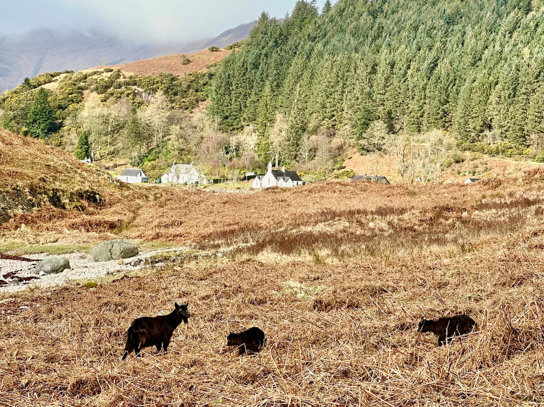 Coille Darach B&B