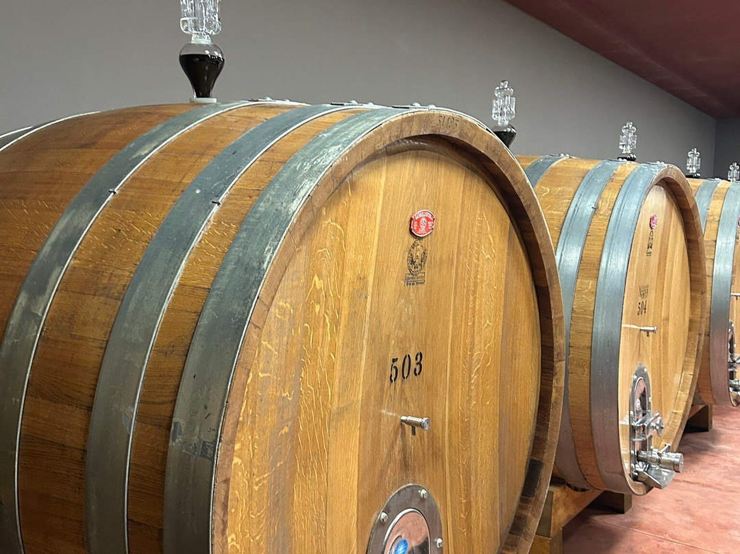 Poderi Dal Nespoli 1929景点图片