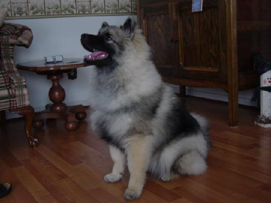 Suncatcher Bed & Breakfast主图