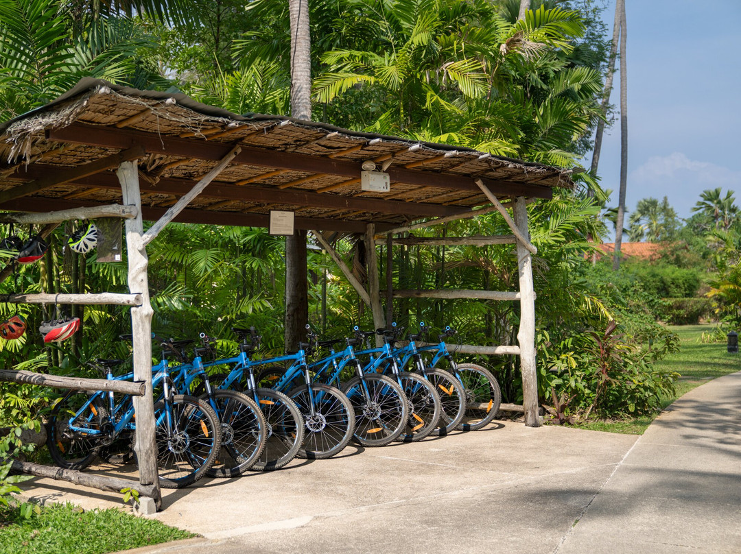 纳帕赛酒店主图