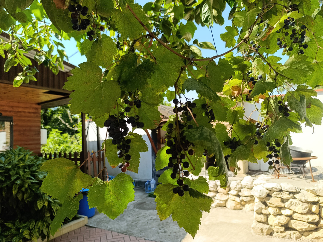 Fazenda Hotel主图