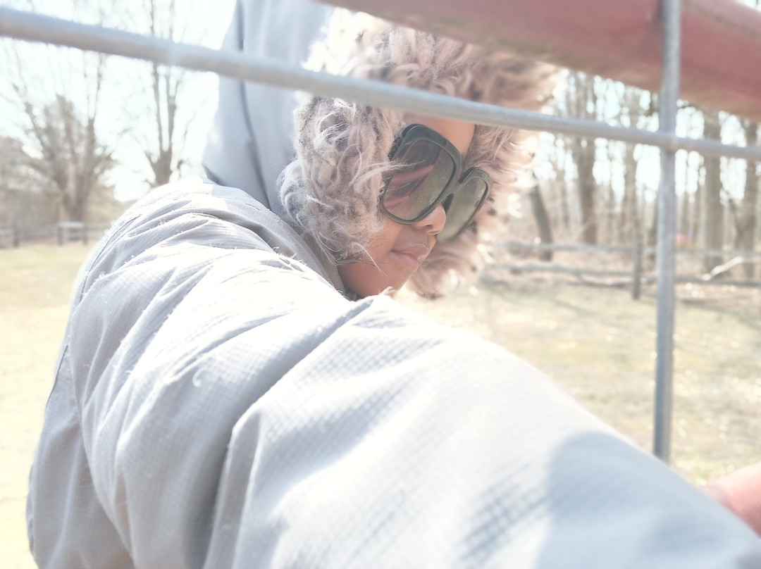 Flamig Farm-West Simsbury必去景点