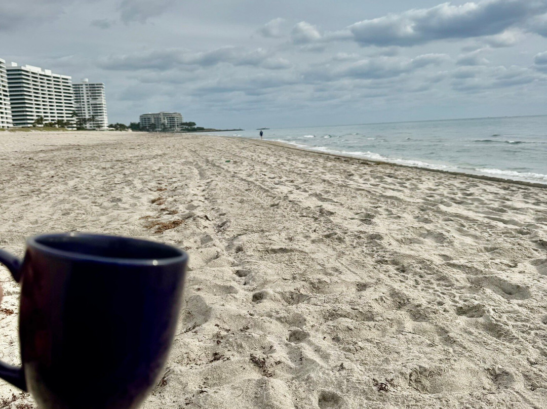 文图拉博卡－拉顿主图