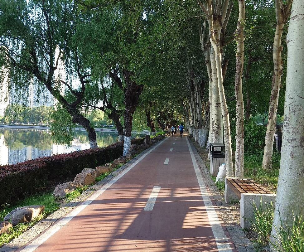 沈阳青年公园-沈阳市必去景点