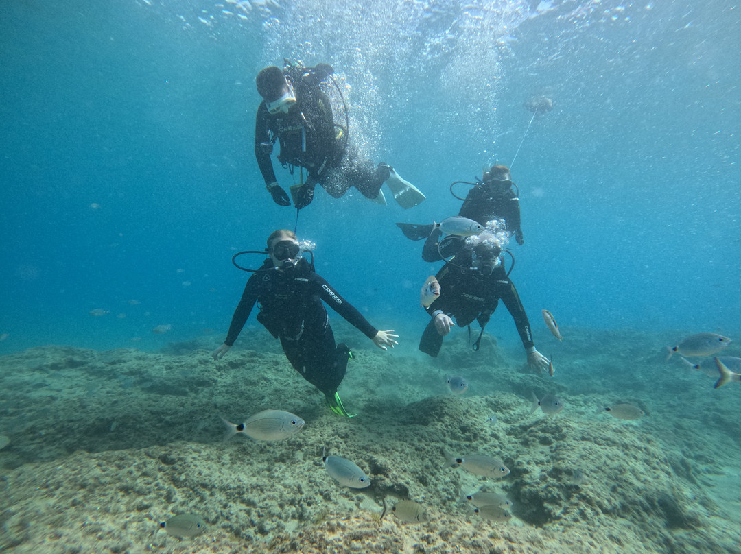 Discovery diving center-赫索尼索斯必去景点