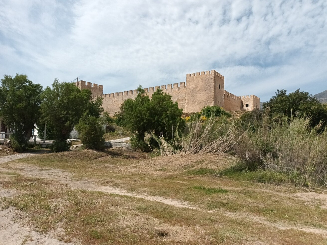 Frangokastello Beach景点图片