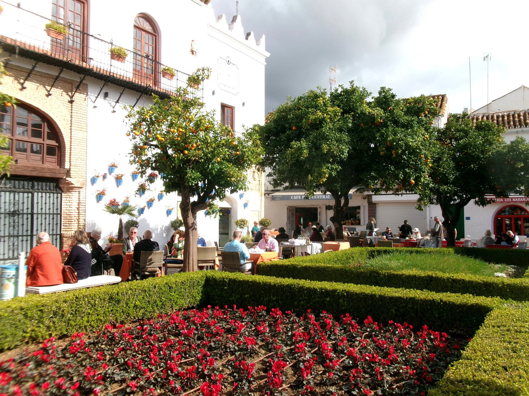 Ayuntamiento City Hall景点图片