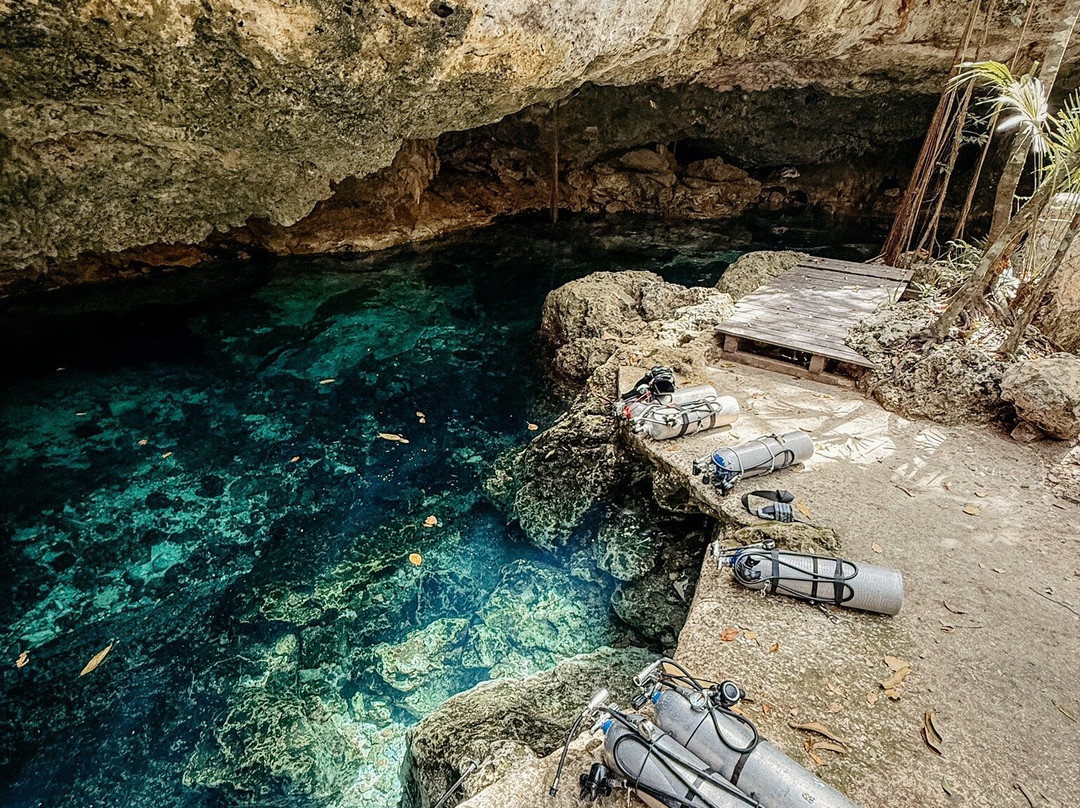 Dressel Divers Playa Del Carmen景点图片