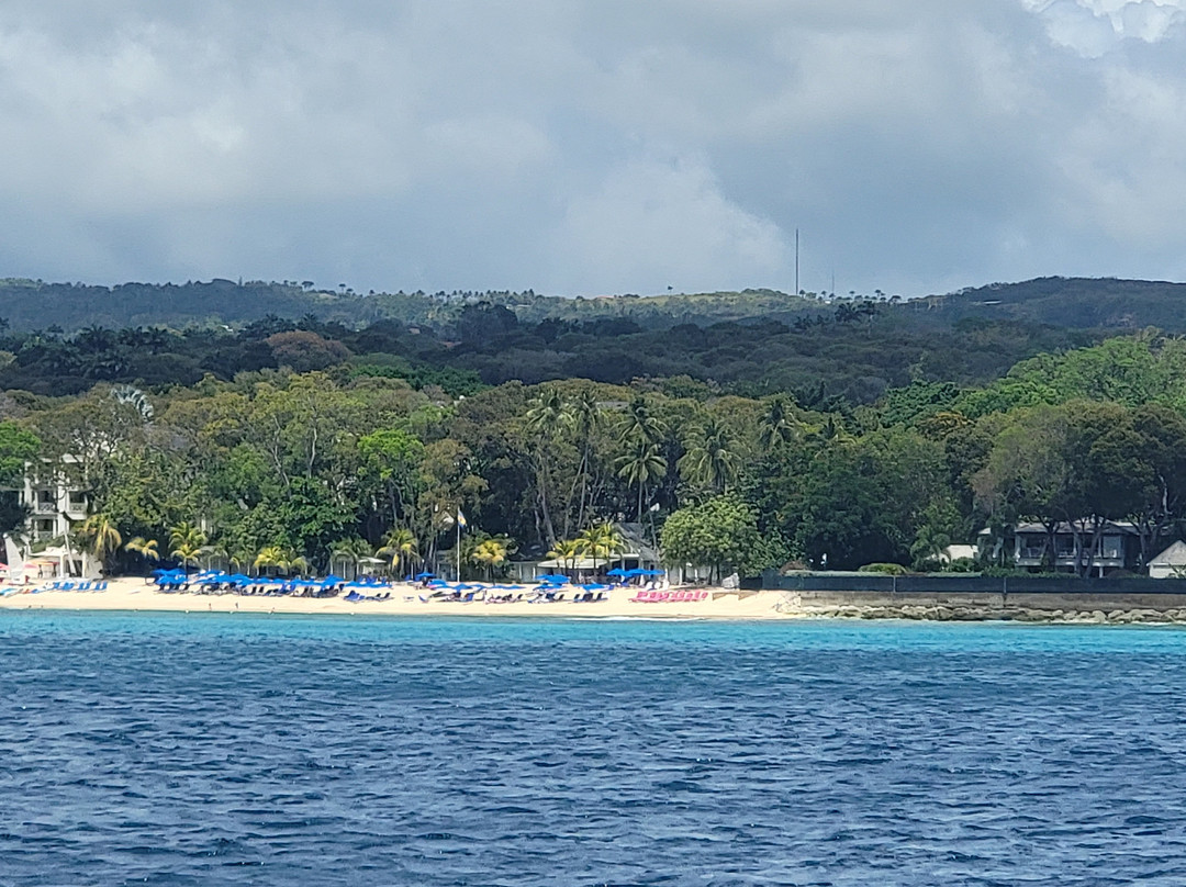 Dreams Catamaran Cruises景点图片