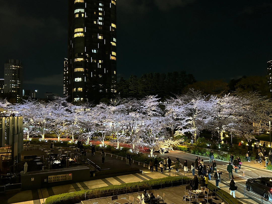 Tokyo Midtown Garden-Akasaka必去景点