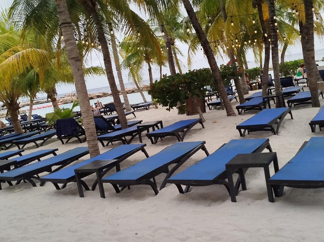 Mambo Beach Boulevard-威廉斯塔德必去景点