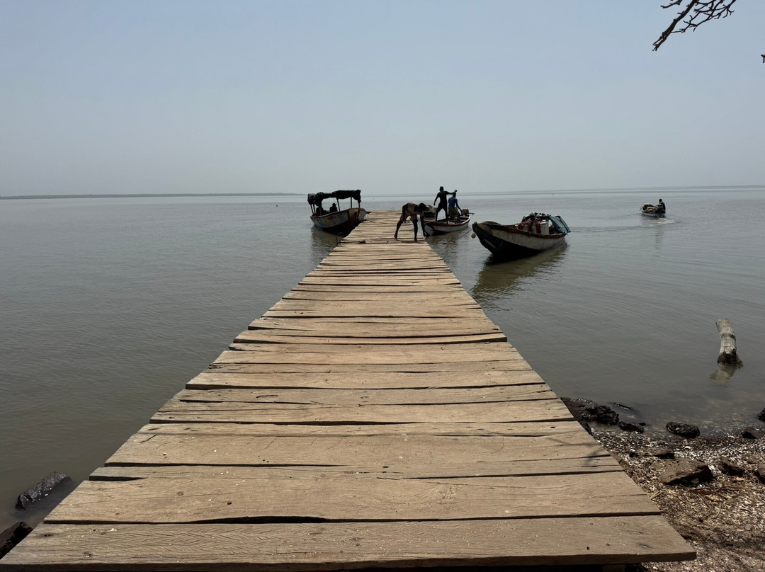 Tours, Taxis By Bakary-Bakau必去景点