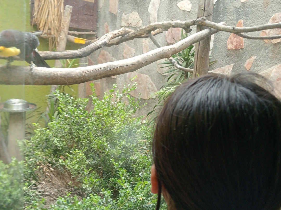 Zoo Parque Loro Puebla景点图片