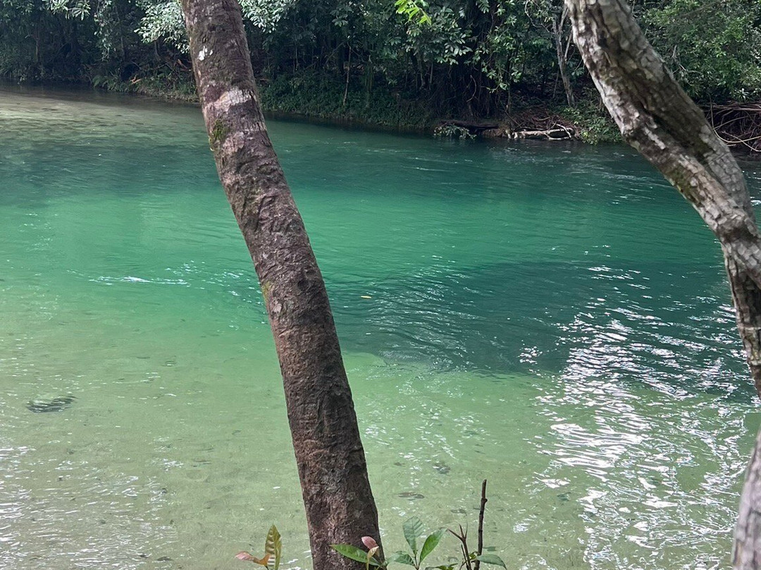 Tropic Wings Cairns Tours & Charters-凯恩斯必去景点