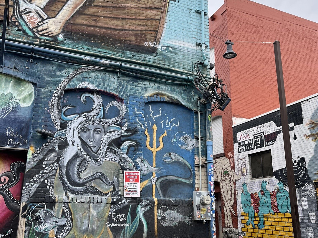 Freak Alley Gallery景点图片