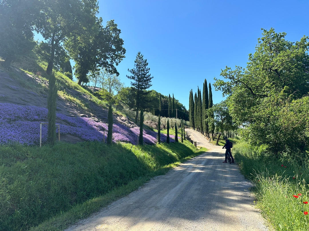 Crete Senesi-阿夏诺必去景点