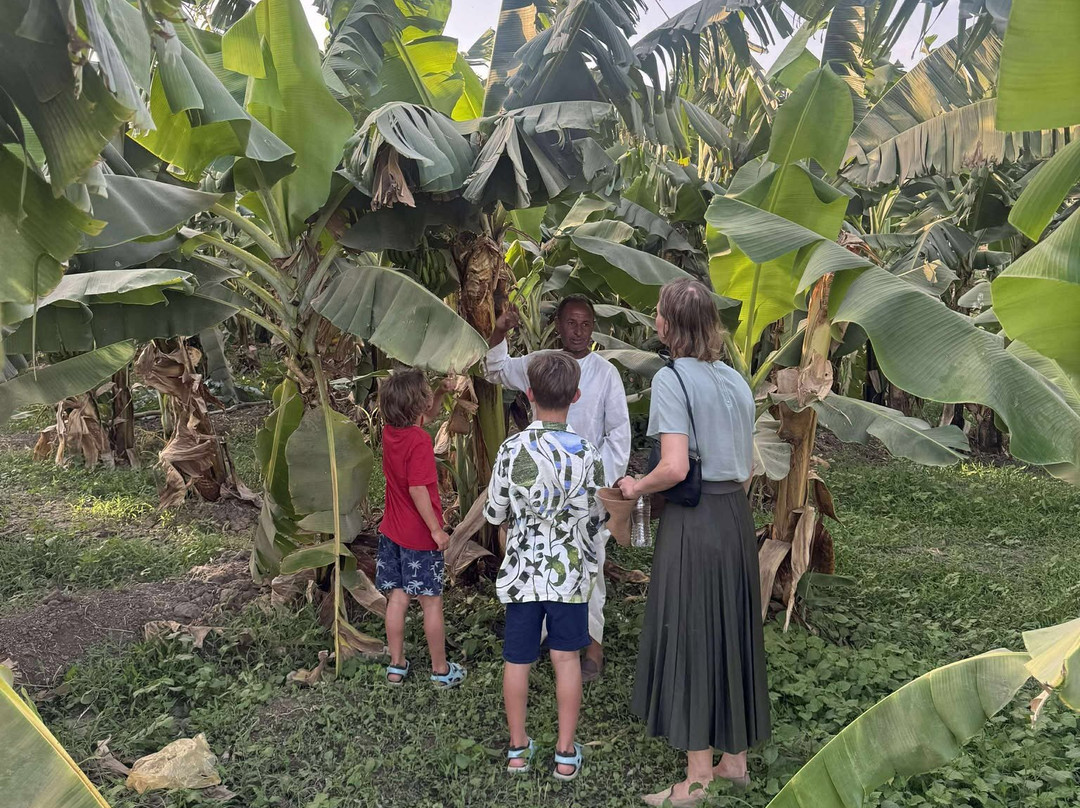 Jewel Howard Carter Hotel主图