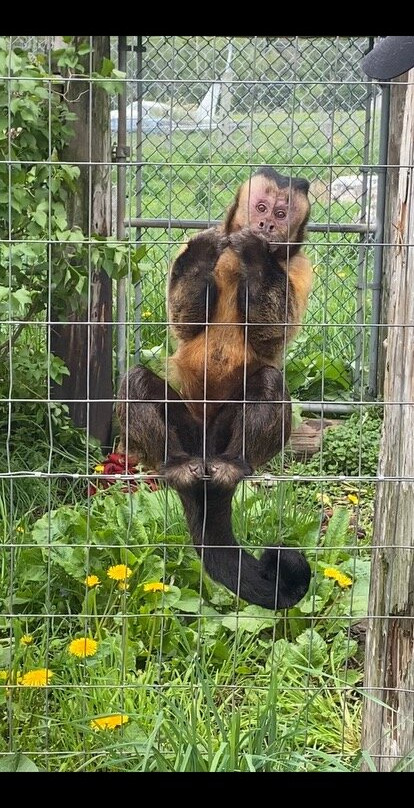 CineZoo-Sainte-Anne-de-la-Rochelle必去景点