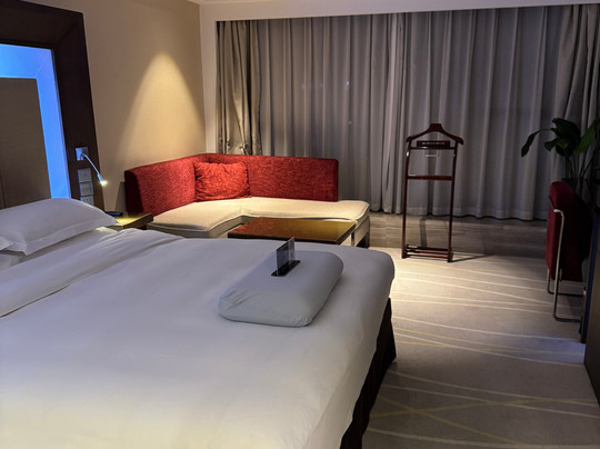 南京新街口苏宁诺富特酒店主图