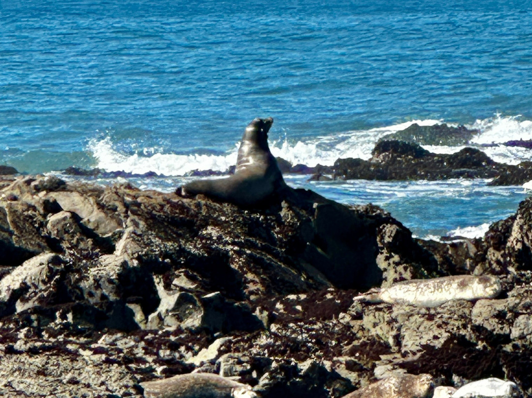 The Shelter Cove Oceanfront Inn主图