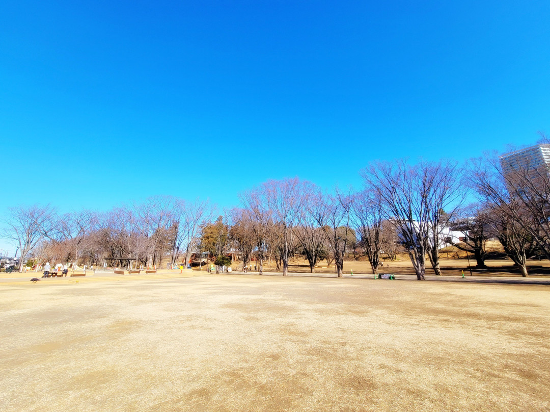 Tsuruma Park-町田市必去景点