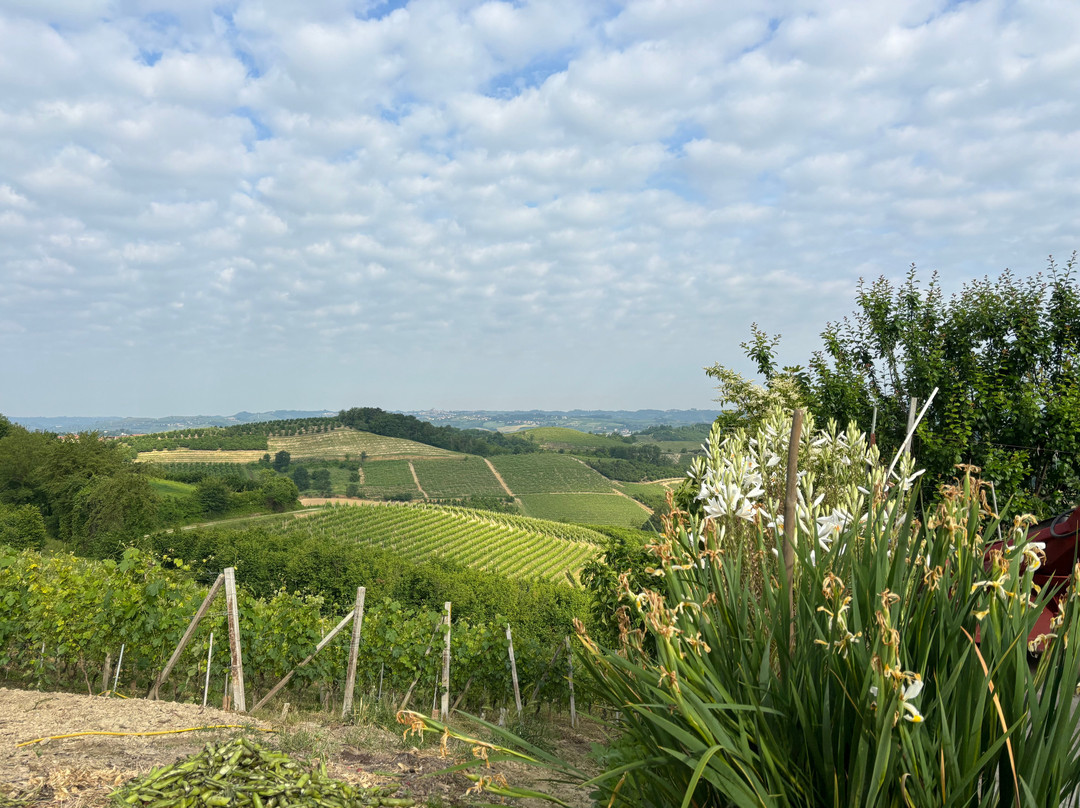 Agriturismo Monbertola主图