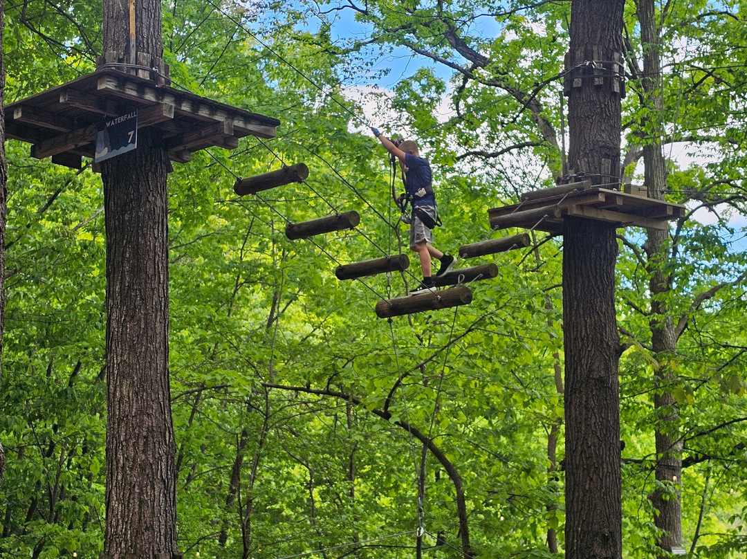 TreeRunner West Bloomfield Adventure Park景点图片