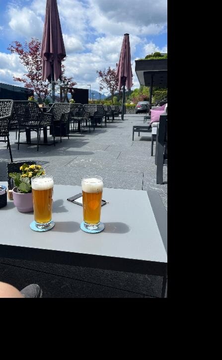 Active Lifestyle Hotel Terentnerhof-官方